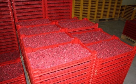 Повторна продажба на имотот на компанијата „Малина“