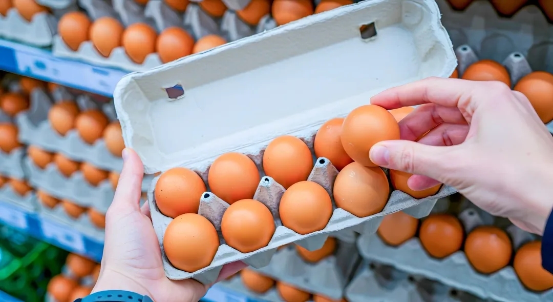 „Ошан“ престанува со продажба на јајца од кафезно одгледување во Полска